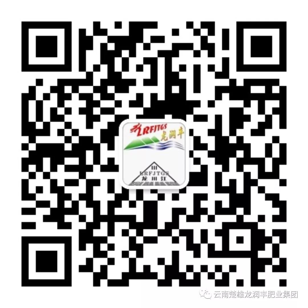 龍潤(rùn)豐（中文）